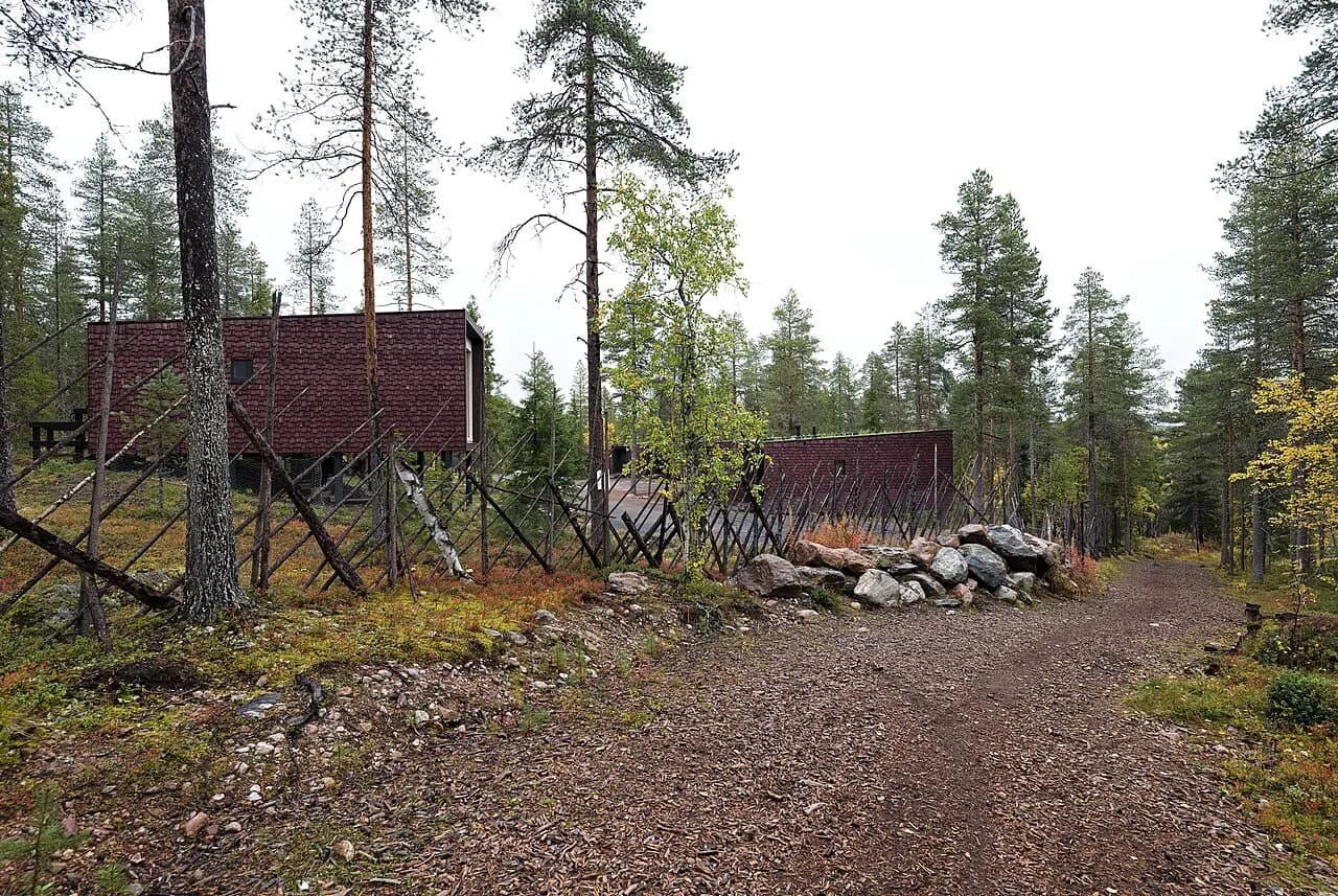 Arctic TreeHouse Hotel suites on stilts in the pine forest, photographed in autumn